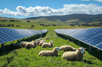 Rural & Agricultural PV (Agri-PV)
